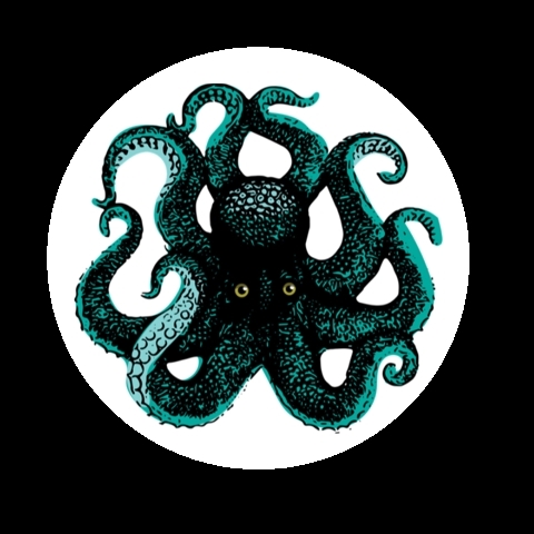 Profile picture of Haiden Shemer