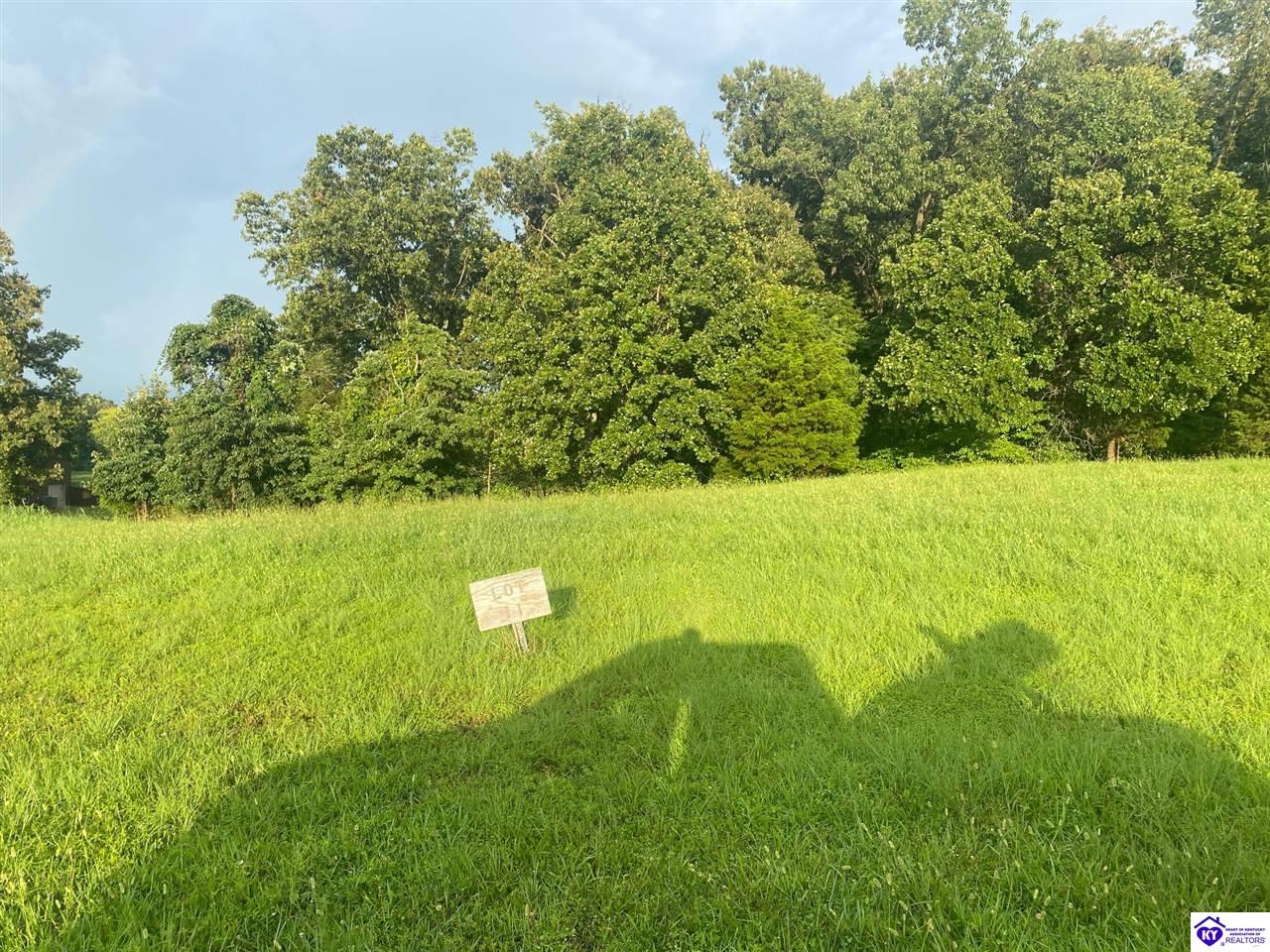 LOT 11 #2 ChinoeRadcliff,&nbsp;KY&nbsp;40160