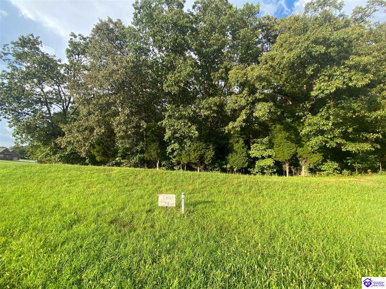 LOT 12 #2 ChinoeRadcliff,&nbsp;KY&nbsp;40160