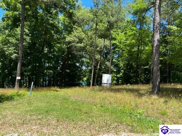 354 Marina Point LaneFalls Of Rough,&nbsp;KY&nbsp;40119