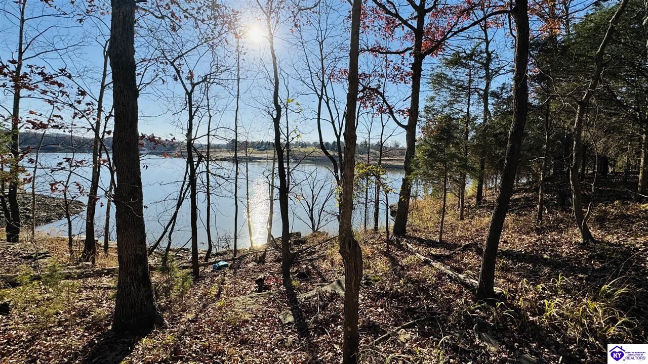 377 Cave Heights DriveFalls Of Rough,&nbsp;KY&nbsp;40119