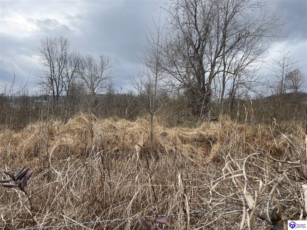 tract 3 May Irby LaneCloverport,&nbsp;KY&nbsp;40111