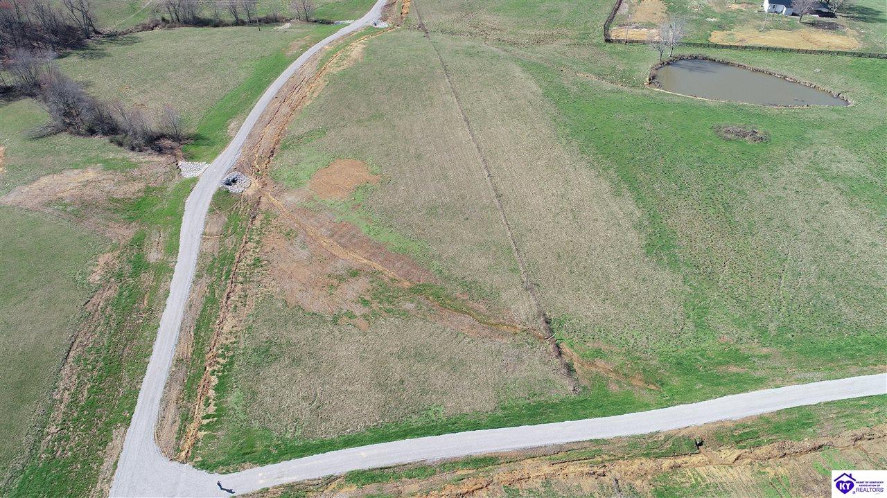 Tract 6 Moore Farm Road Leitchfield, KY 42754 #4