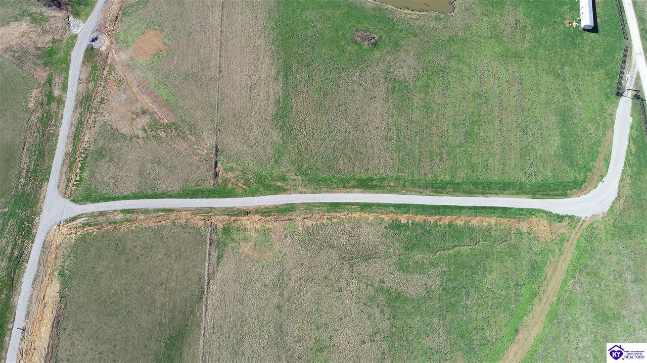 Tract 7 Moore Farm Road Leitchfield, KY 42754 #3