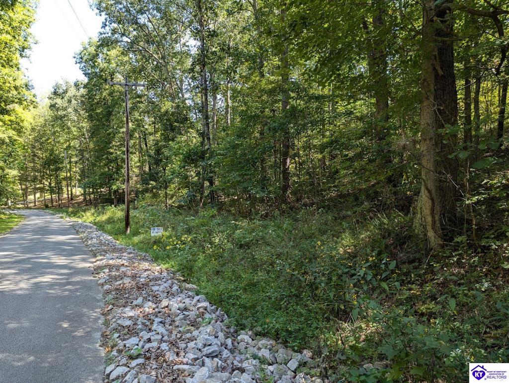 671 Holley Cave DriveMammoth Cave,&nbsp;KY&nbsp;42259