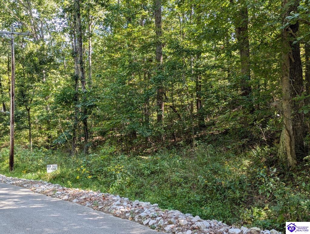 671 Holley Cave Drive Mammoth Cave, KY 42259 #1