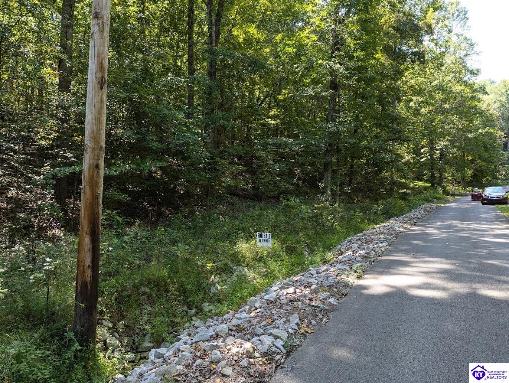 671 Holley Cave Drive Mammoth Cave, KY 42259 #2