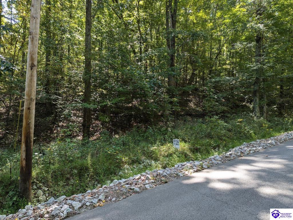 671 Holley Cave Drive Mammoth Cave, KY 42259 #3