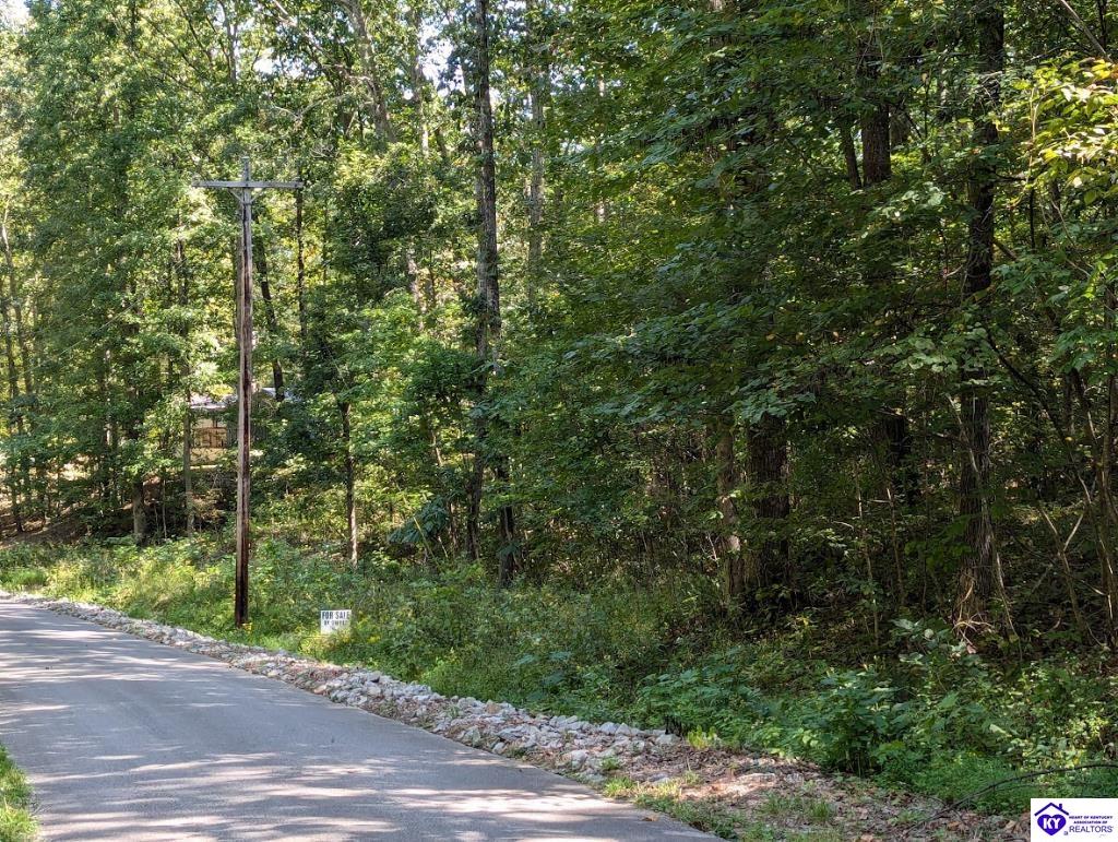 671 Holley Cave Drive Mammoth Cave, KY 42259 #4