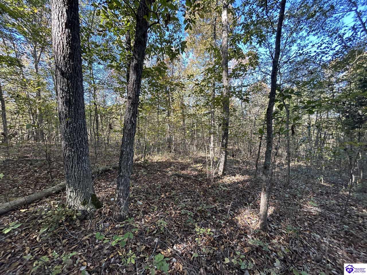 579 Hudson Fairfield Road Hudson, KY 40145 #1