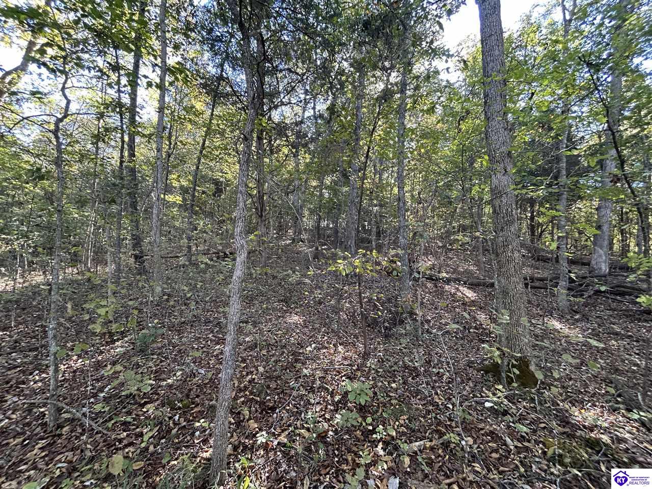 579 Hudson Fairfield Road Hudson, KY 40145 #2