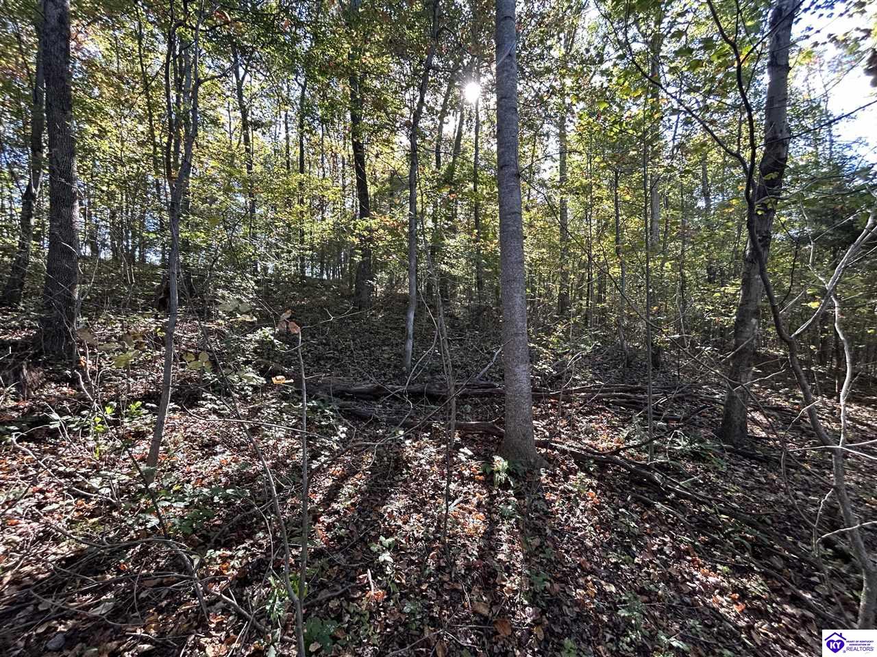 579 Hudson Fairfield Road Hudson, KY 40145 #3