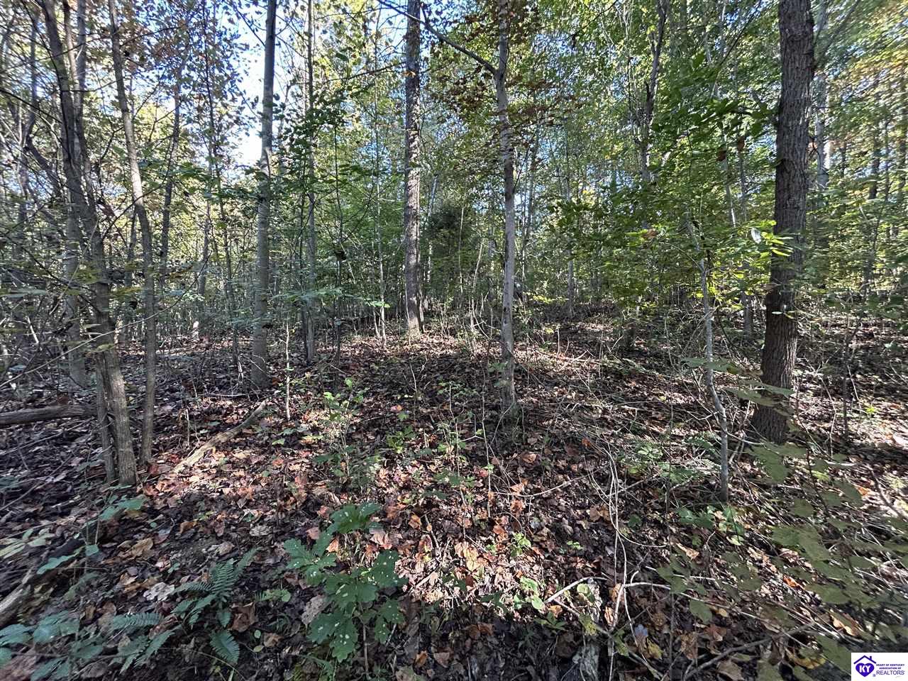 579 Hudson Fairfield Road Hudson, KY 40145 #4