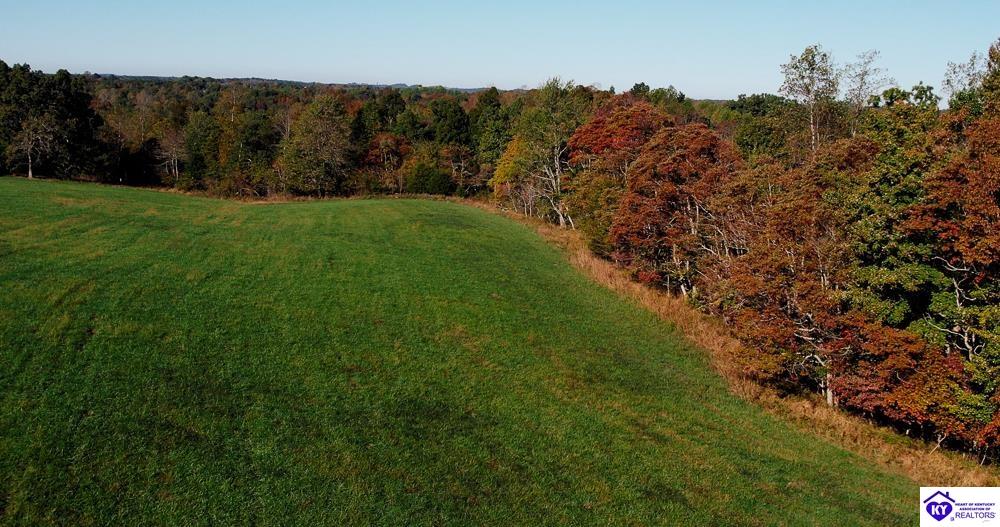 Roy Road Eastview, KY 42732 #2