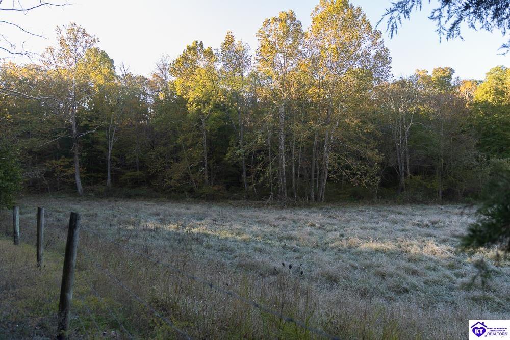 Roy Road Eastview, KY 42732 #3