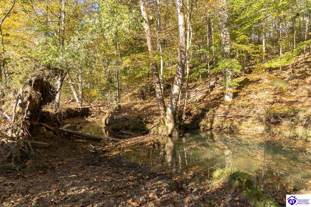 Roy Road Eastview, KY 42732 #4