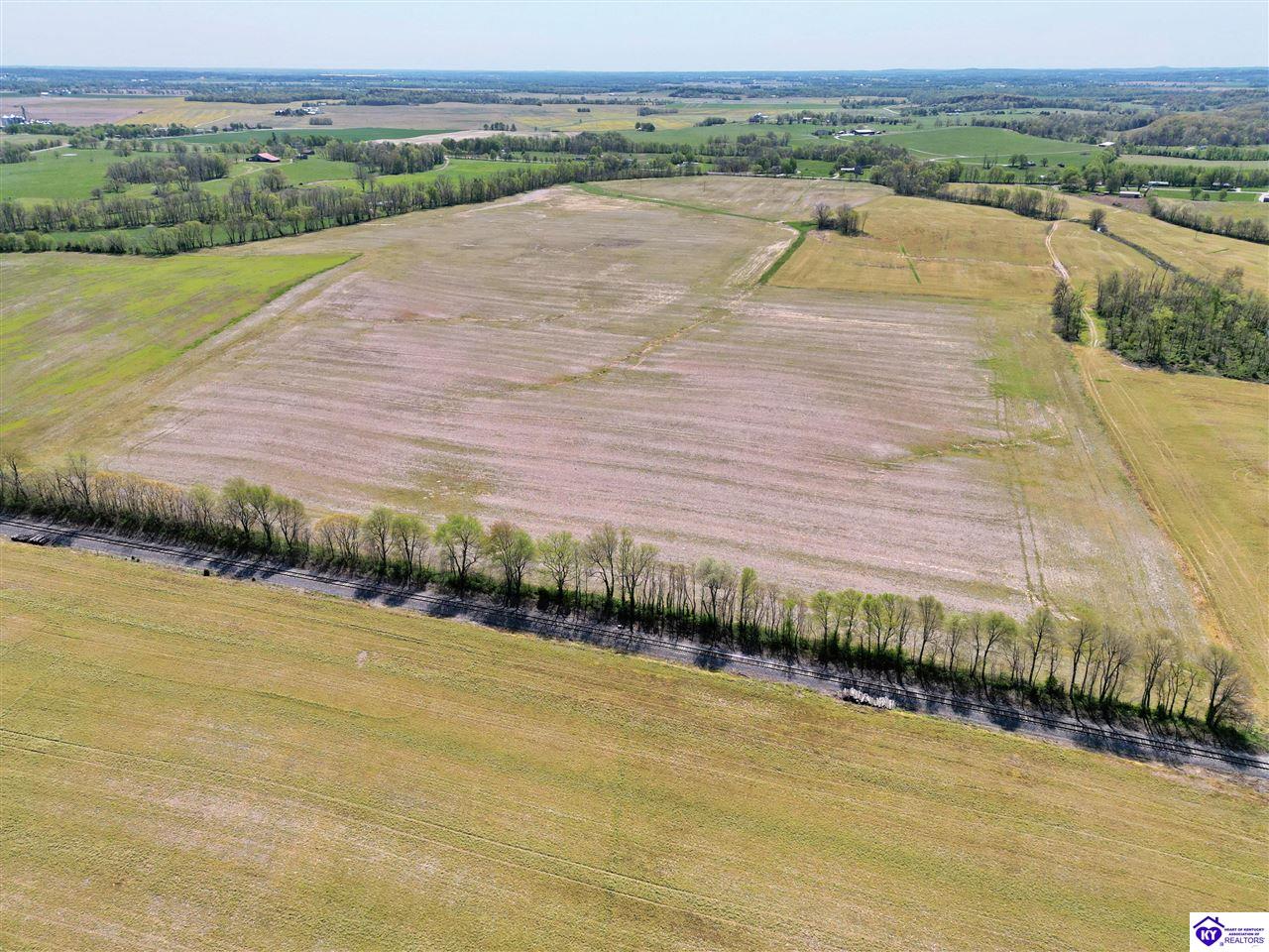 9000 Leitchfield Road Cecilia, KY 42724 #2