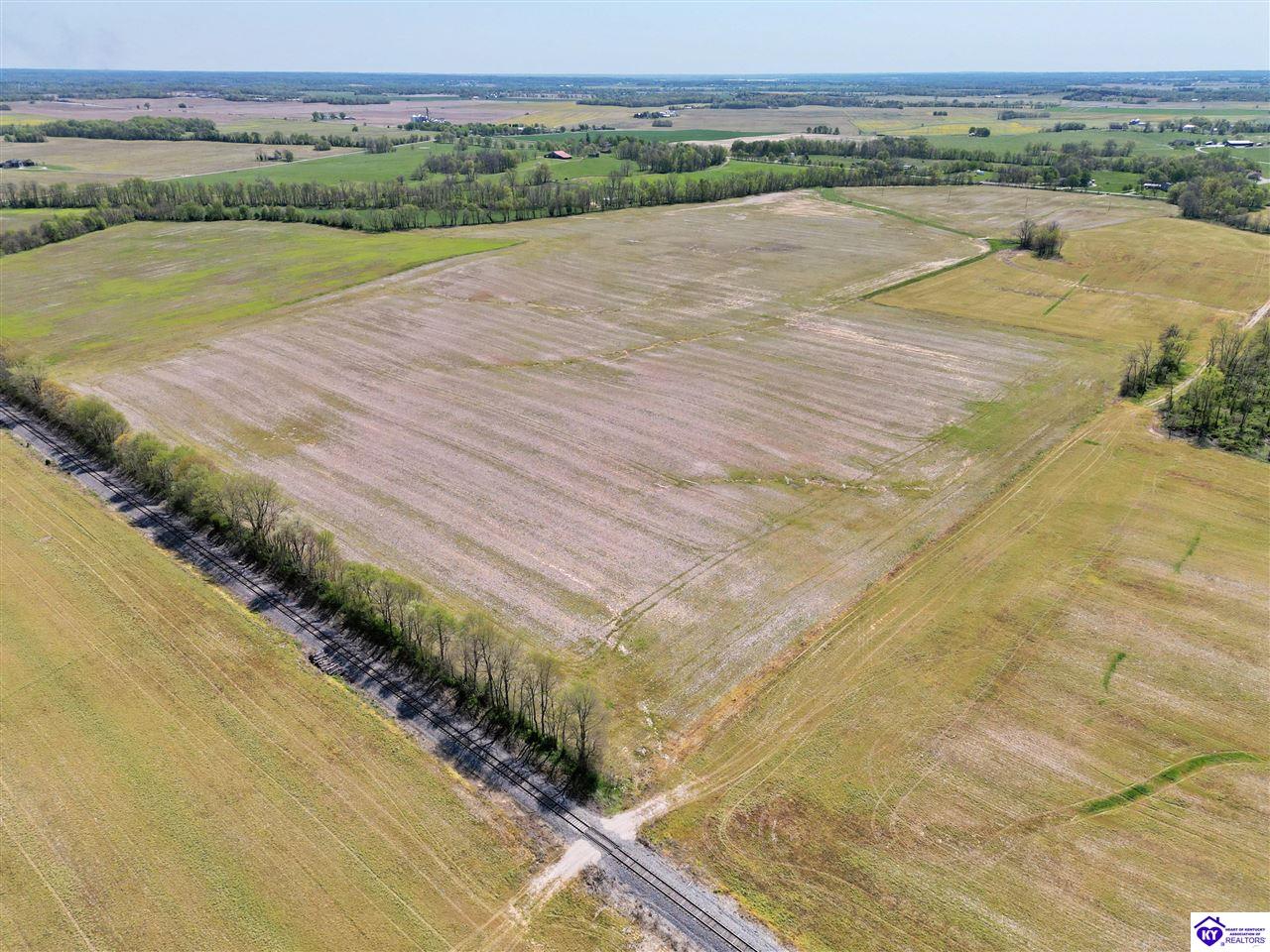 9000 Leitchfield Road Cecilia, KY 42724 #4