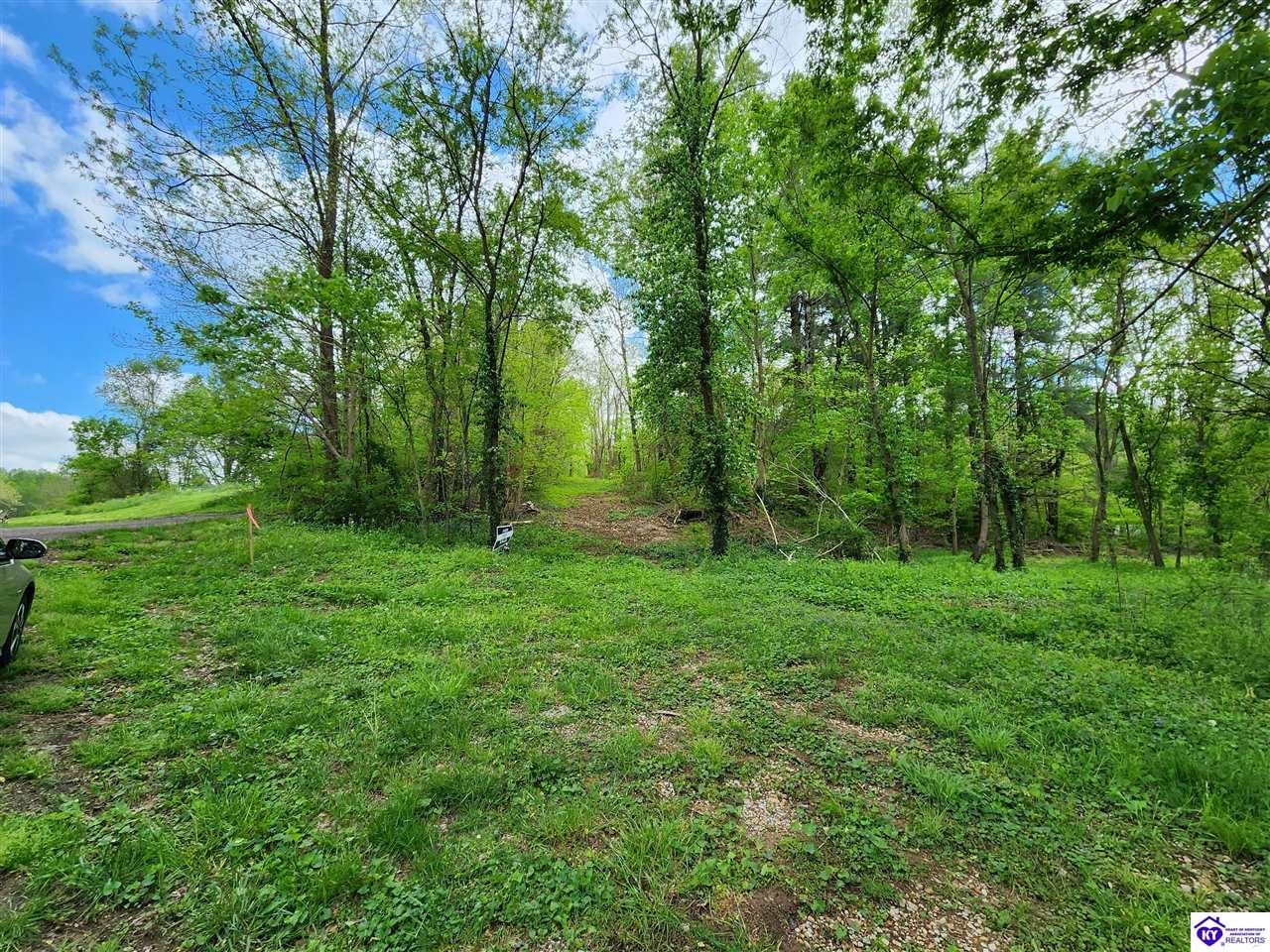 0000 Rineyville Big Springs RoadRineyville,&nbsp;KY&nbsp;40162