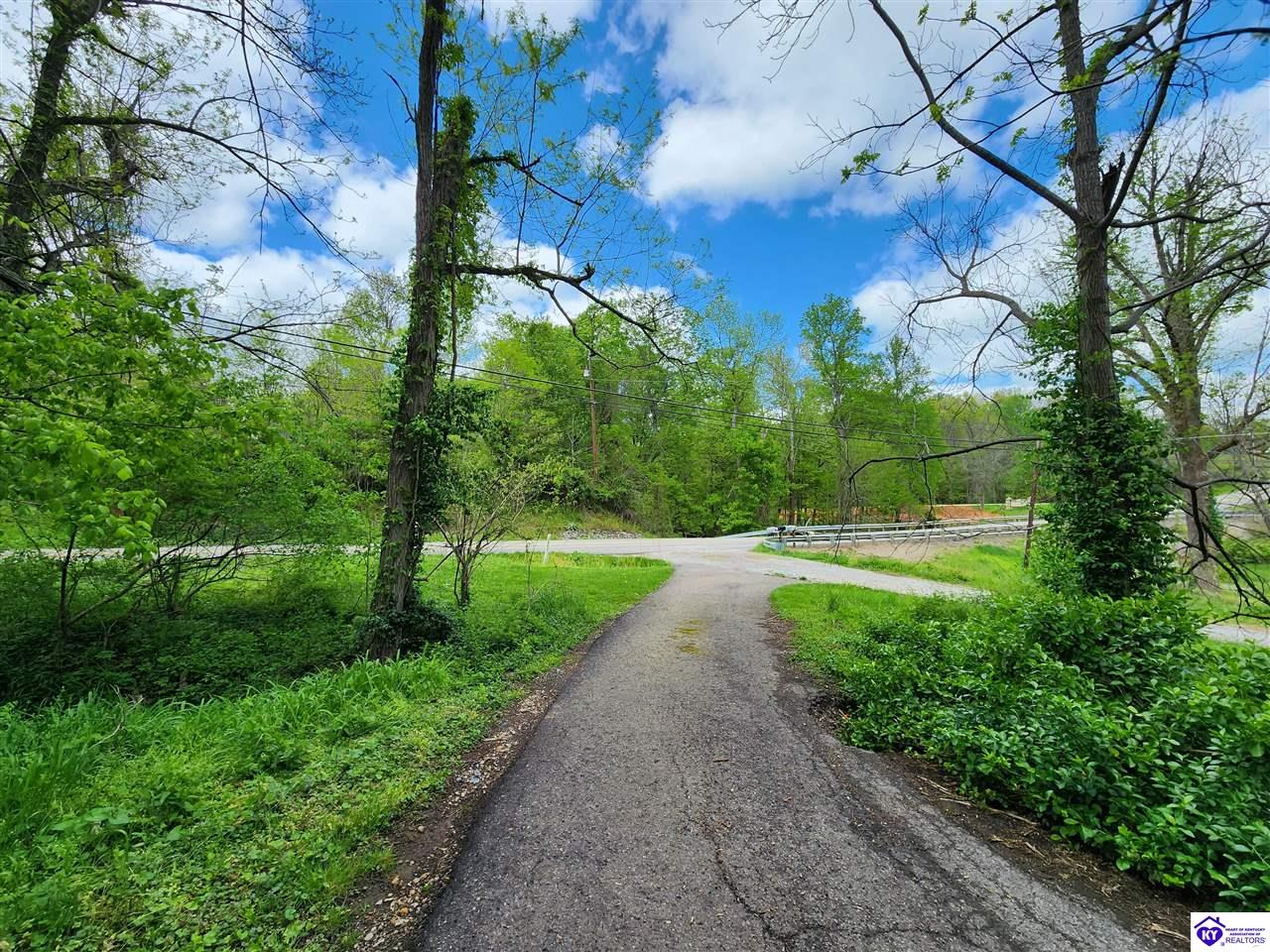 0000 Rineyville Big Springs Road Rineyville, KY 40162 #3