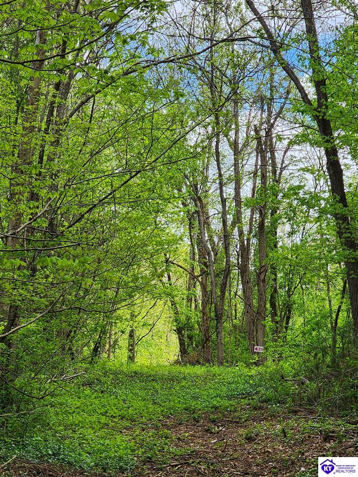 0000 Rineyville Big Springs Road Rineyville, KY 40162 #4