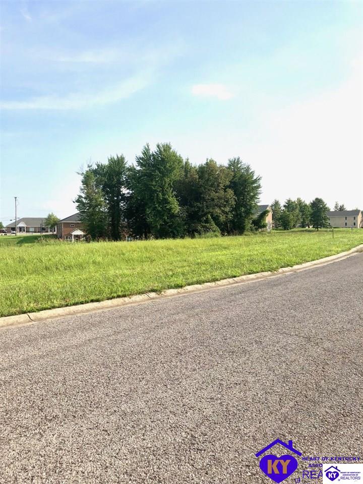 Lot 4 Drexler Circle Elizabethtown, KY 42701 #1