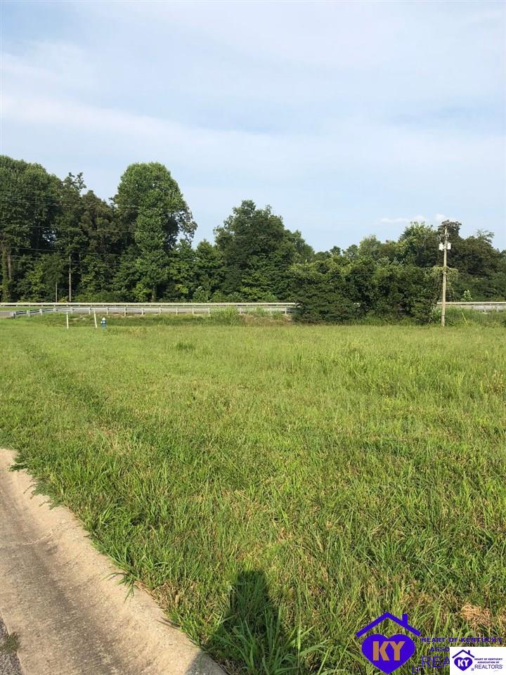 Lot 4 Drexler Circle Elizabethtown, KY 42701 #3