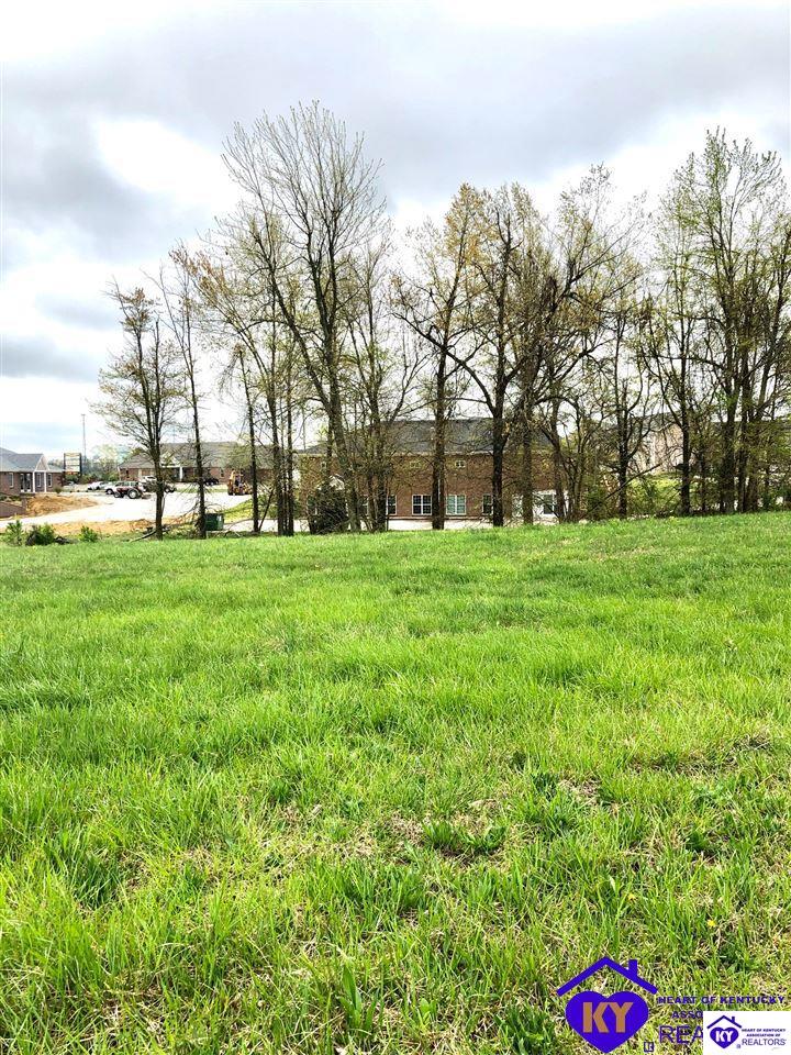 Lot 4 Drexler Circle Elizabethtown, KY 42701 #4