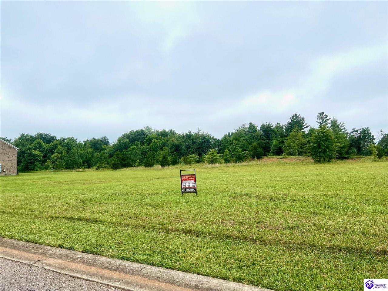 Lot #7 Drexler Circle Elizabethtown, KY 42701 #4