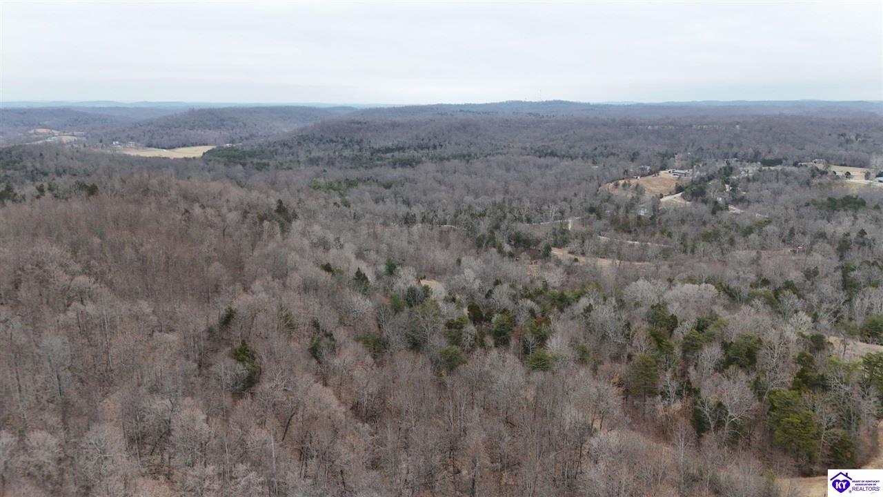 Tract 3-4 Priceville RoadMunfordville,&nbsp;KY&nbsp;42765