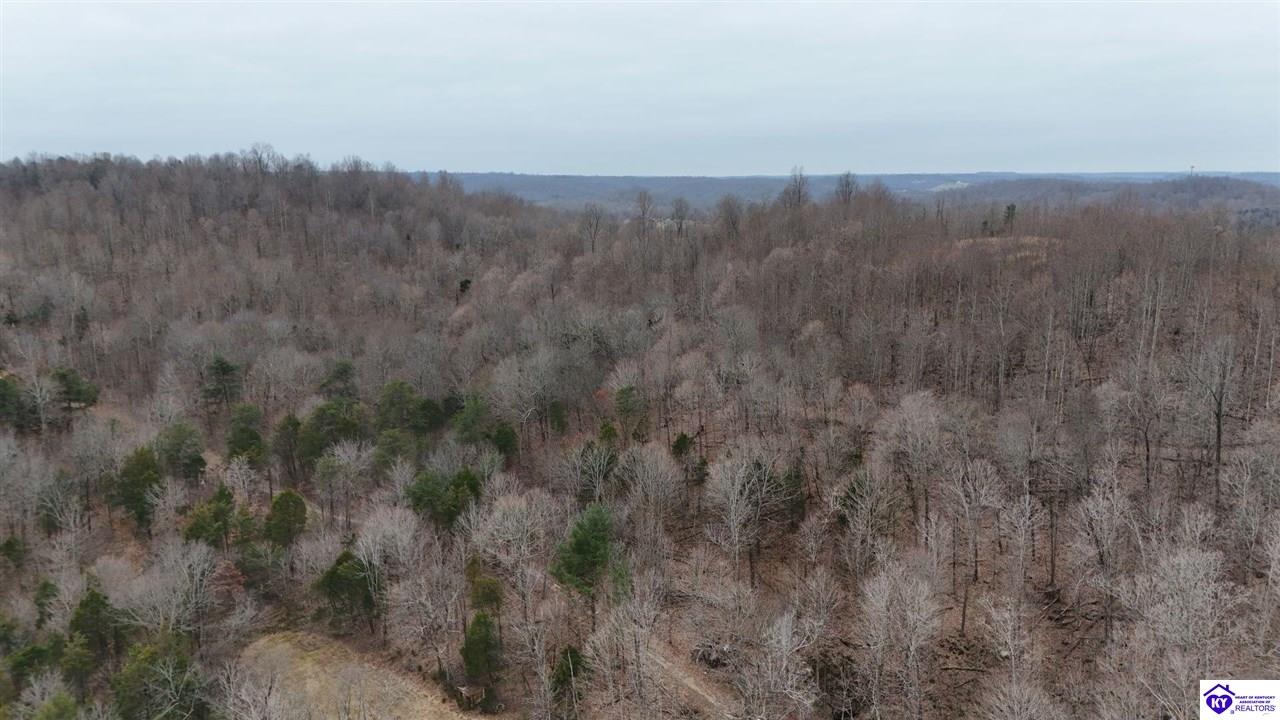 Tract 3-4 Priceville Road Munfordville, KY 42765 #2