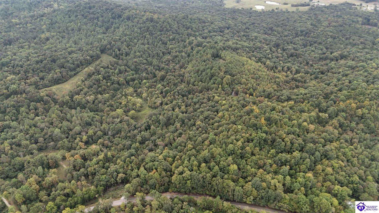 Tract 3-4 Priceville Road Munfordville, KY 42765 #3