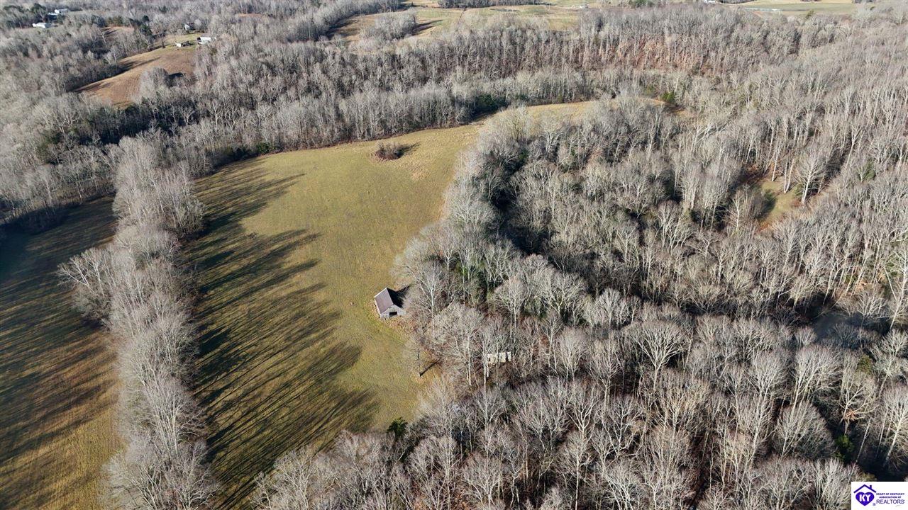 36 AC Rainbow Trout Road Summersville, KY 42782 #1