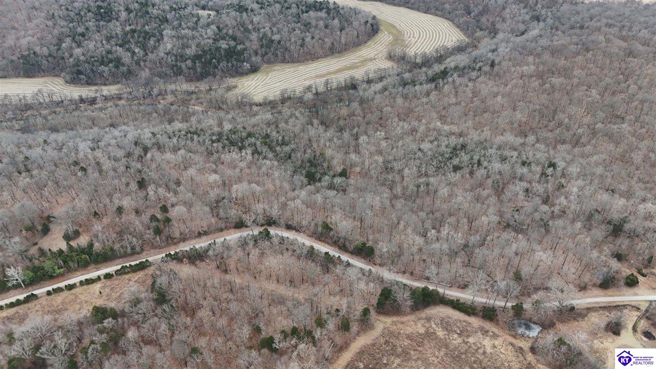 Tract 1 Wand Cemetery Road Bowling Green, KY 42101 #2