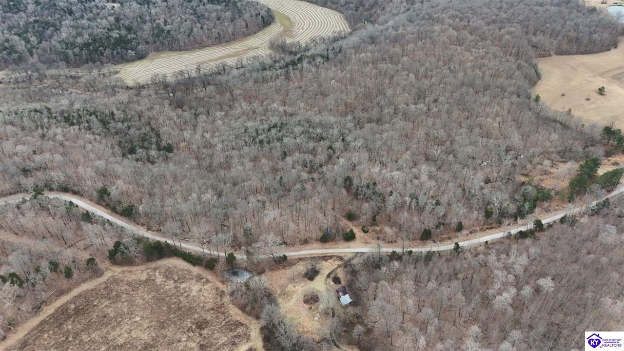 Tract 1 Wand Cemetery Road Bowling Green, KY 42101 #3