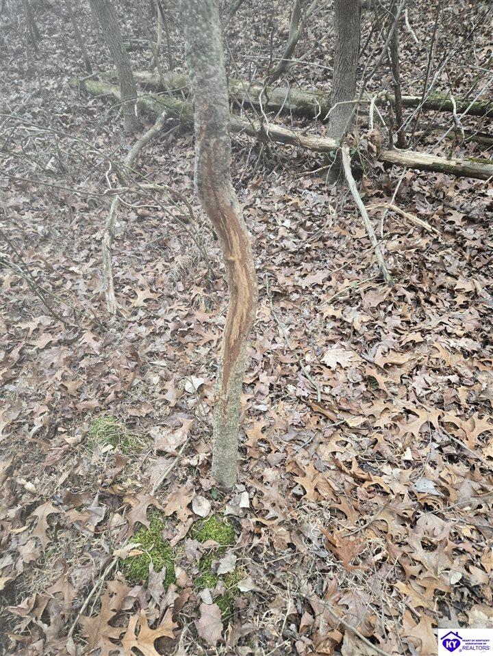 Tract 1 Wand Cemetery Road Bowling Green, KY 42101 #4