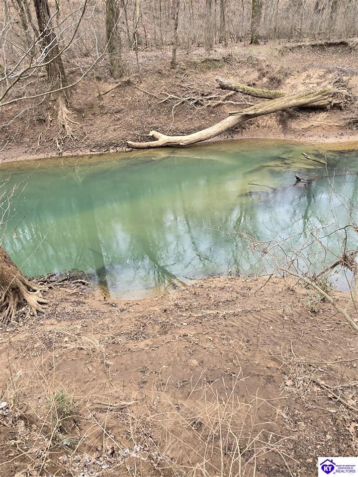 Tract 2 Wand Cemetery Road Bowling Green, KY 42101 #4