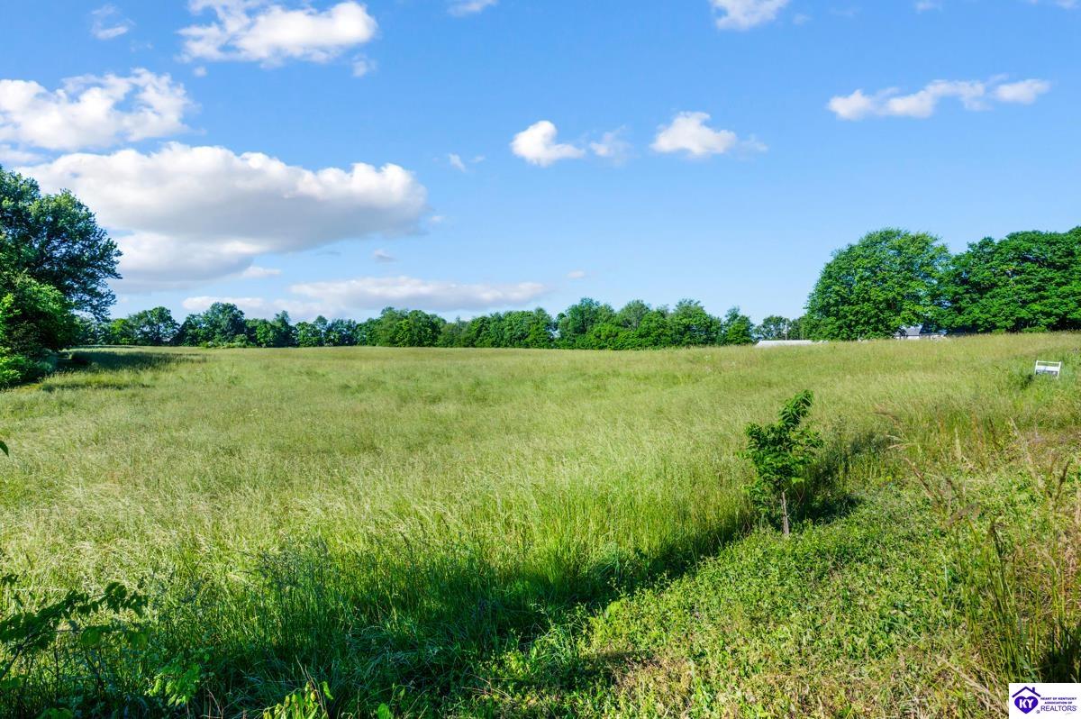 0 Sonora Hardin Springs Road Sonora, KY 42776 #4