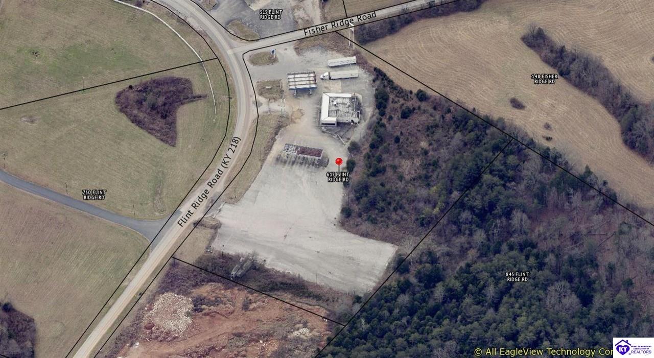 615 Flint Ridge Road Horse Cave, KY 42749 #4