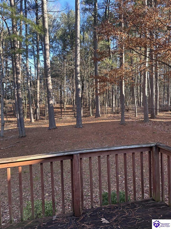 386 Pine Ridge Drive Brandenburg, KY 40108 #1