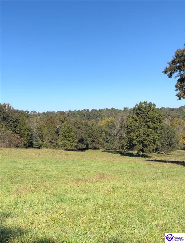 TRACT 1 Roy Road Eastview, KY 42732 #4