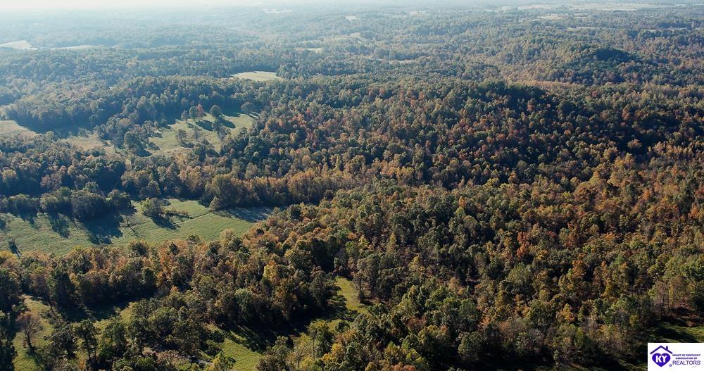 TRACT 3 Roy RoadEastview,&nbsp;KY&nbsp;42732