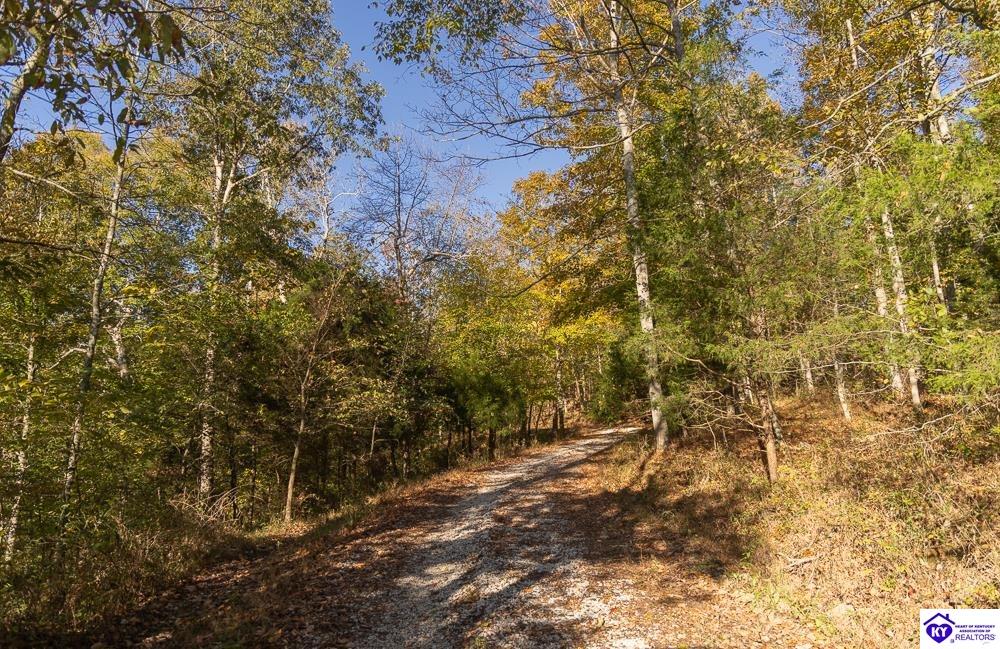 TRACT 3 Roy Road Eastview, KY 42732 #1