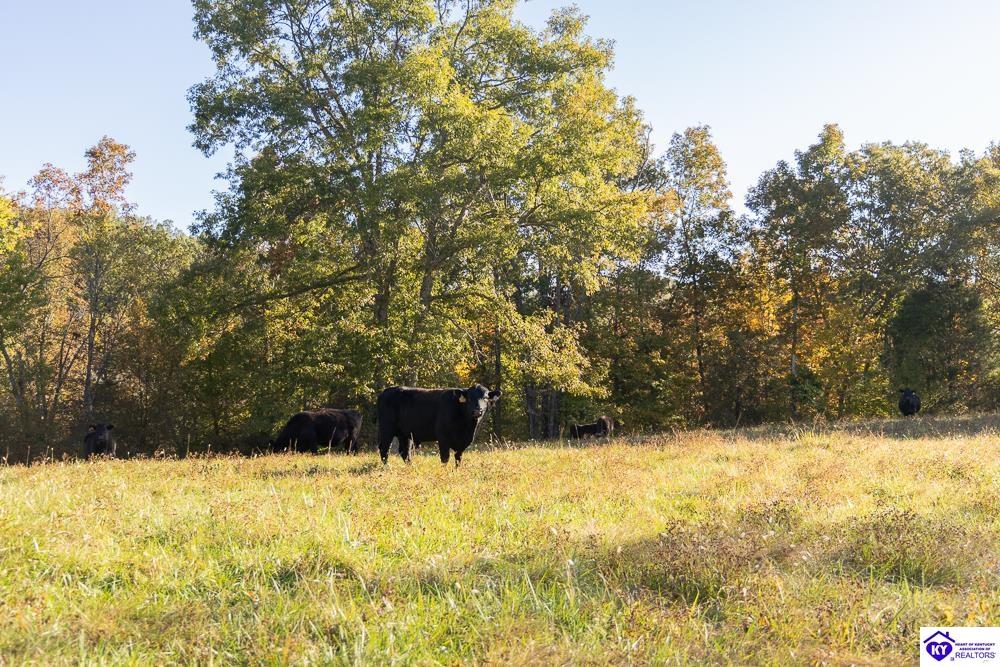 TRACT 3 Roy Road Eastview, KY 42732 #2