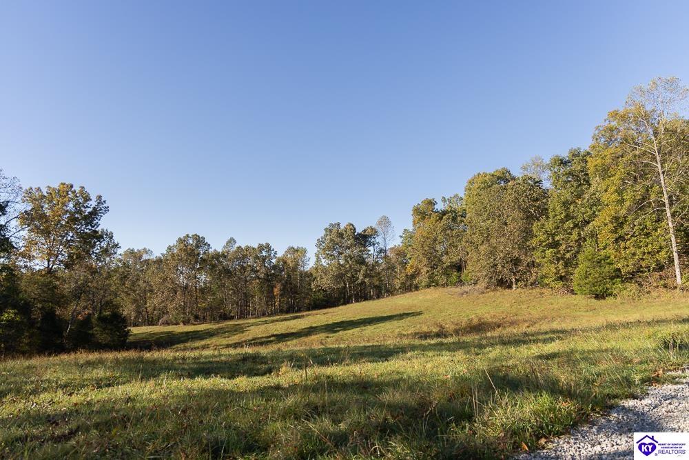 TRACT 3 Roy Road Eastview, KY 42732 #3