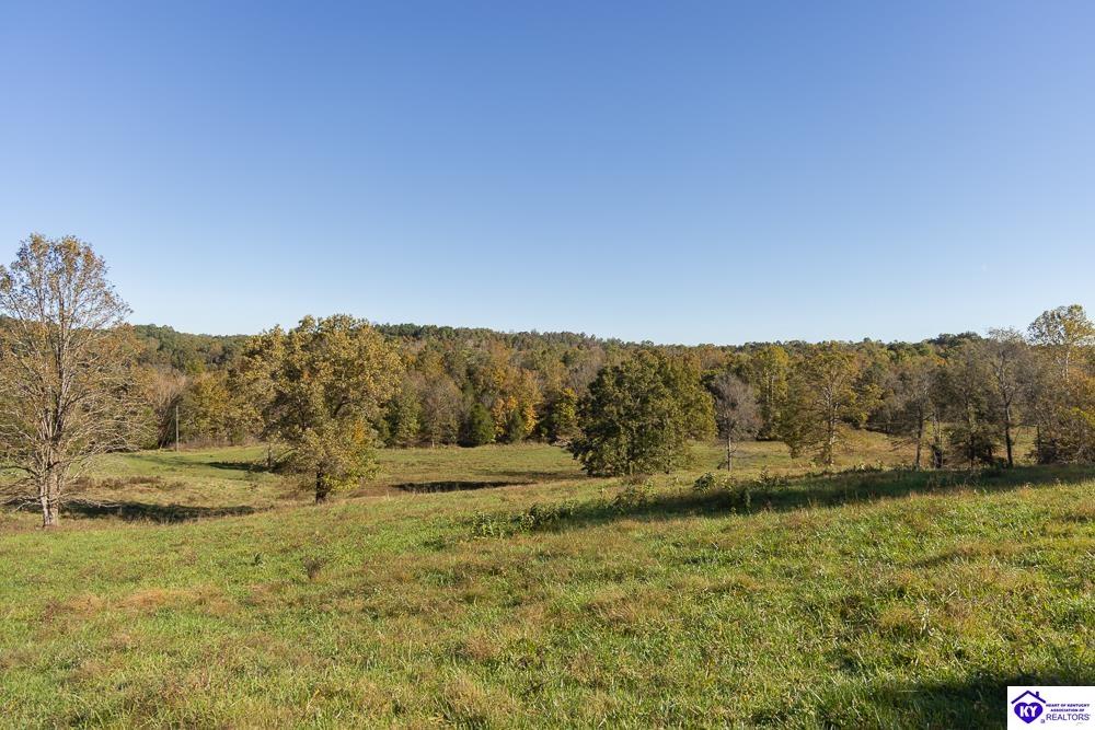 TRACT 4 Cann School Lane Eastview, KY 42732 #2