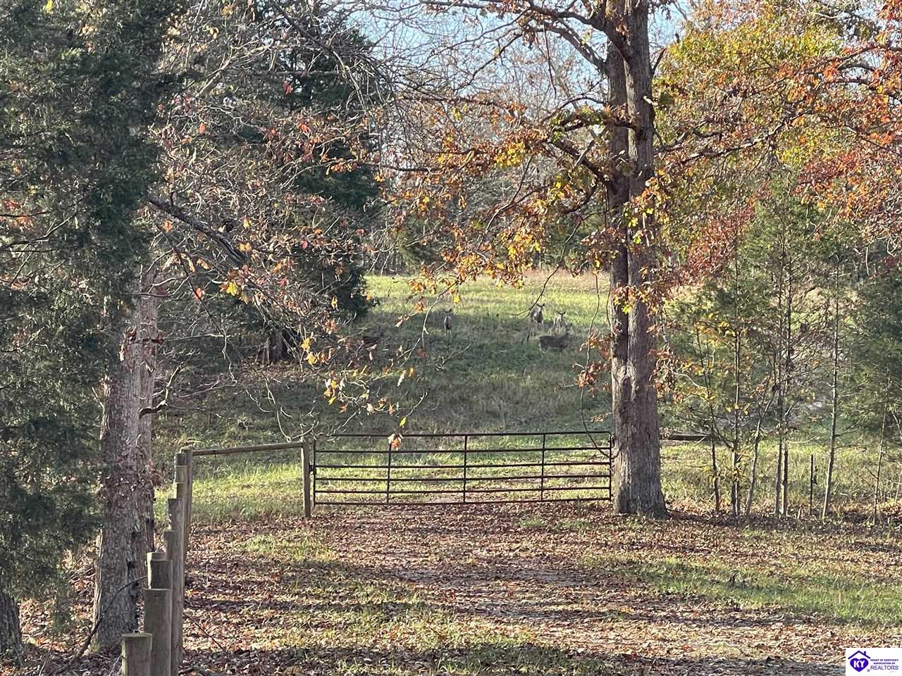 TRACT 4 Cann School Lane Eastview, KY 42732 #4