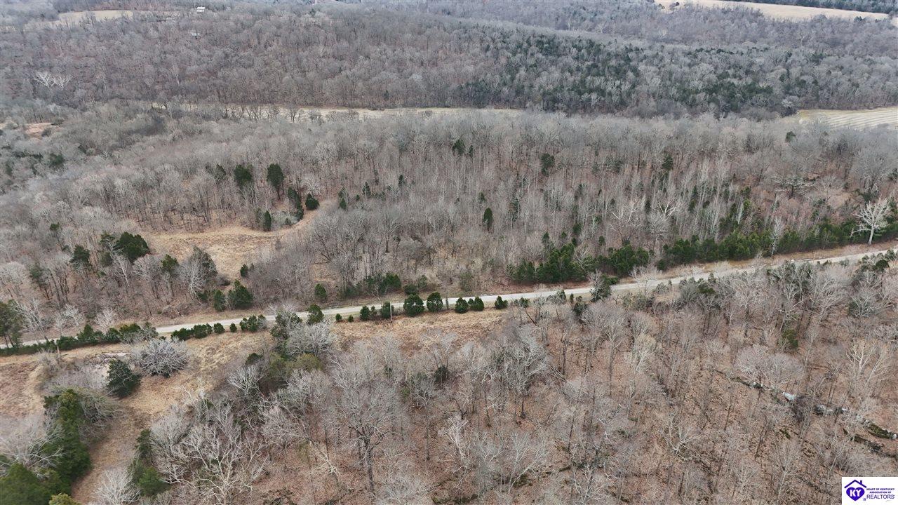 116 AC Wand Cemetery Road Bowling Green, KY 42101 #1