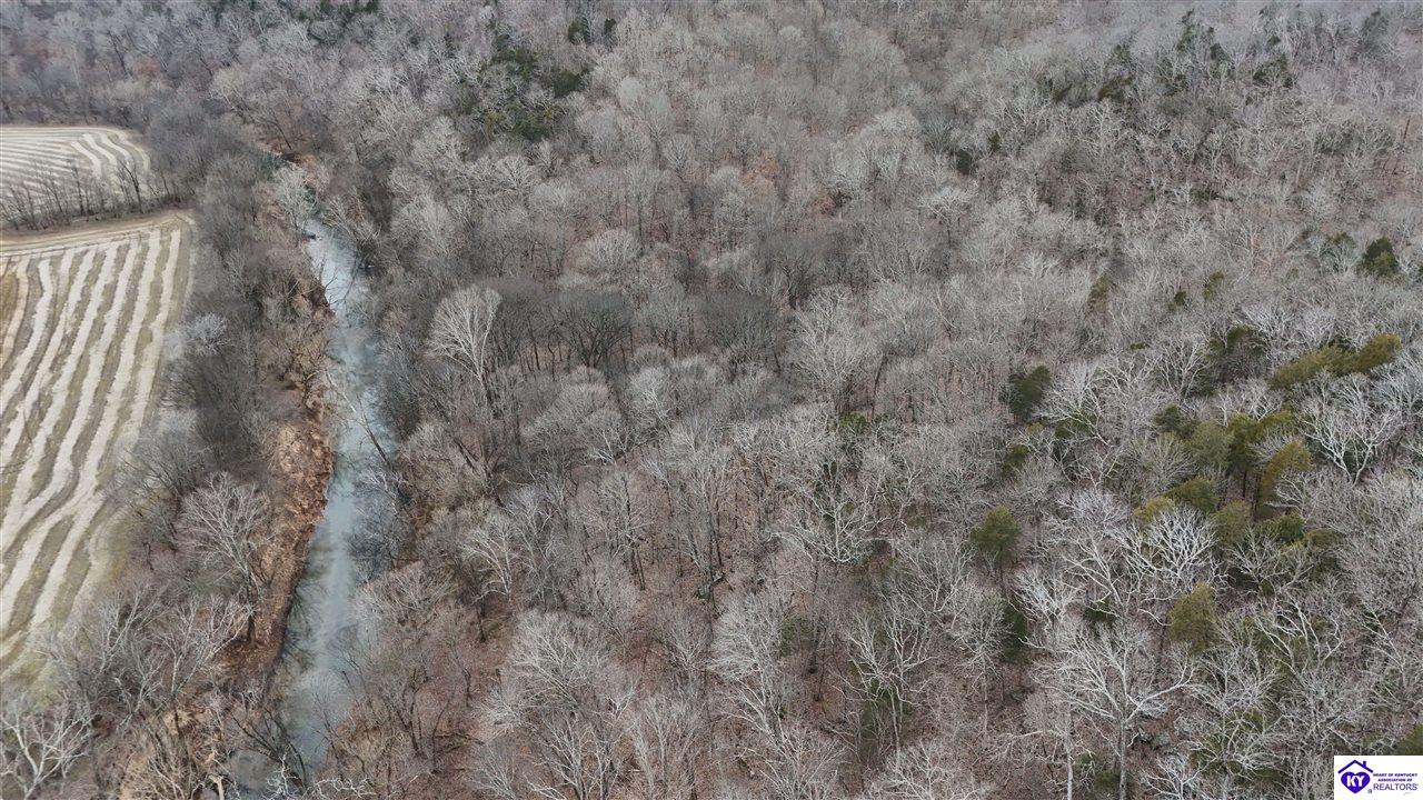 116 AC Wand Cemetery Road Bowling Green, KY 42101 #3