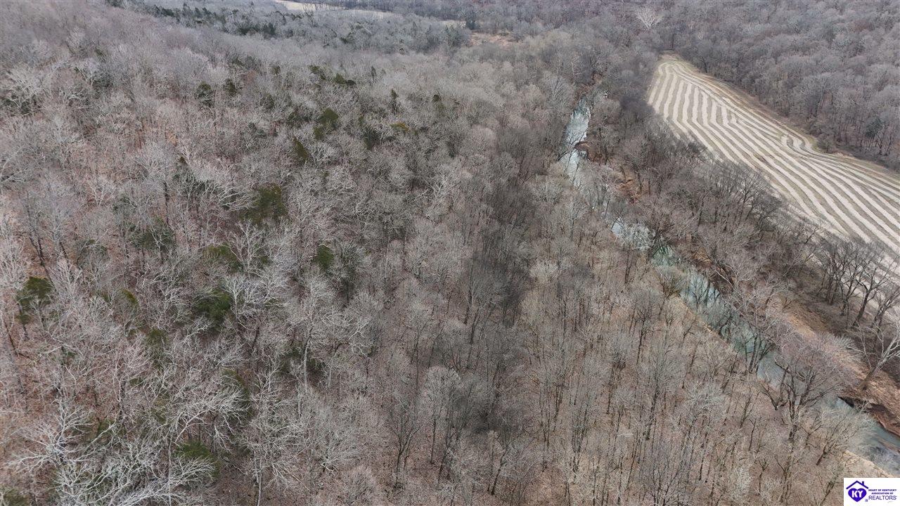 116 AC Wand Cemetery Road Bowling Green, KY 42101 #4